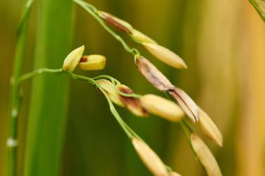 CÔNG TY CỔ PHẦN MỘC ĐIỀN