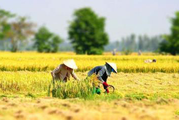 CÔNG TY CỔ PHẦN MỘC ĐIỀN