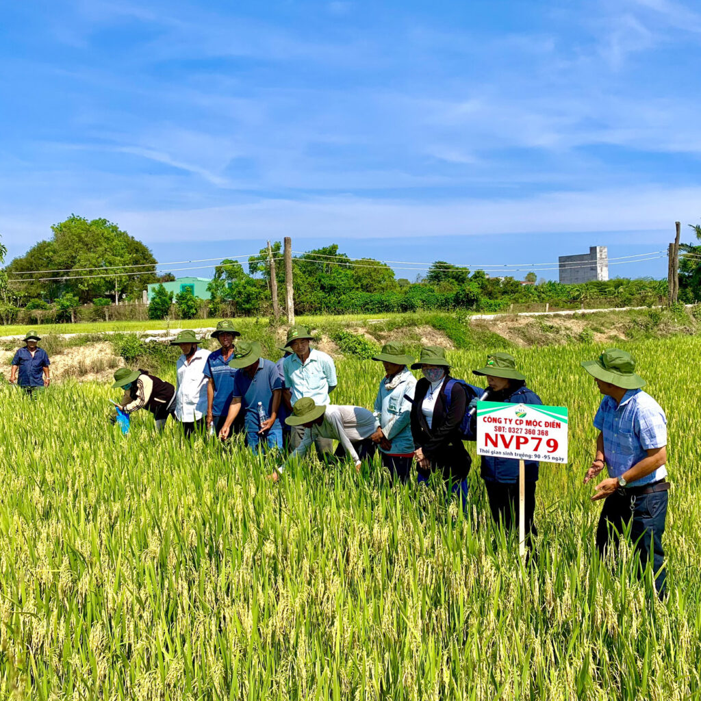 CÔNG TY CỔ PHẦN MỘC ĐIỀN