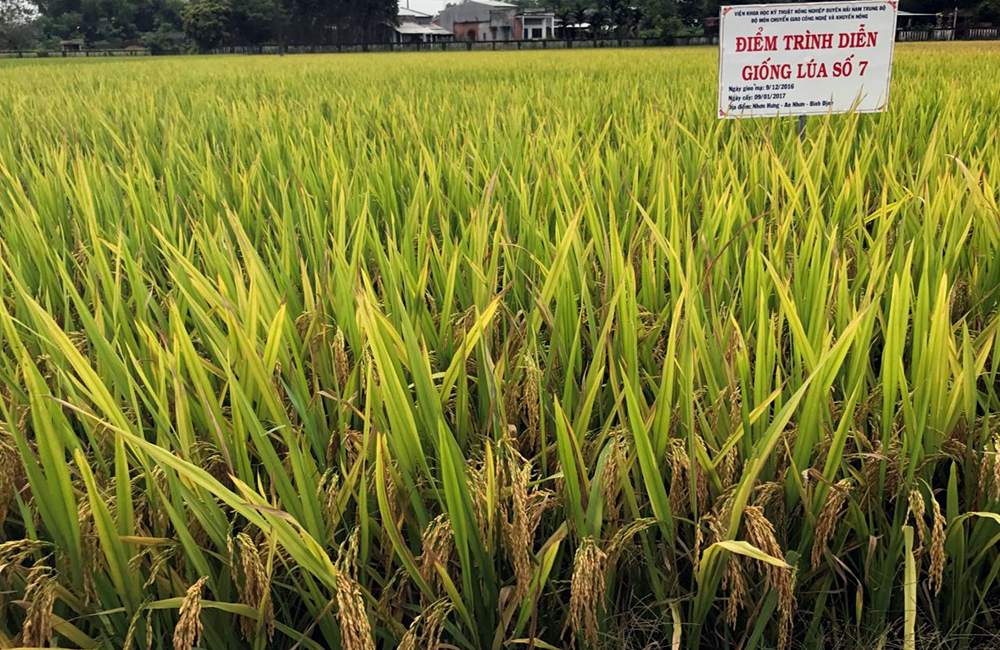 CÔNG TY CỔ PHẦN MỘC ĐIỀN