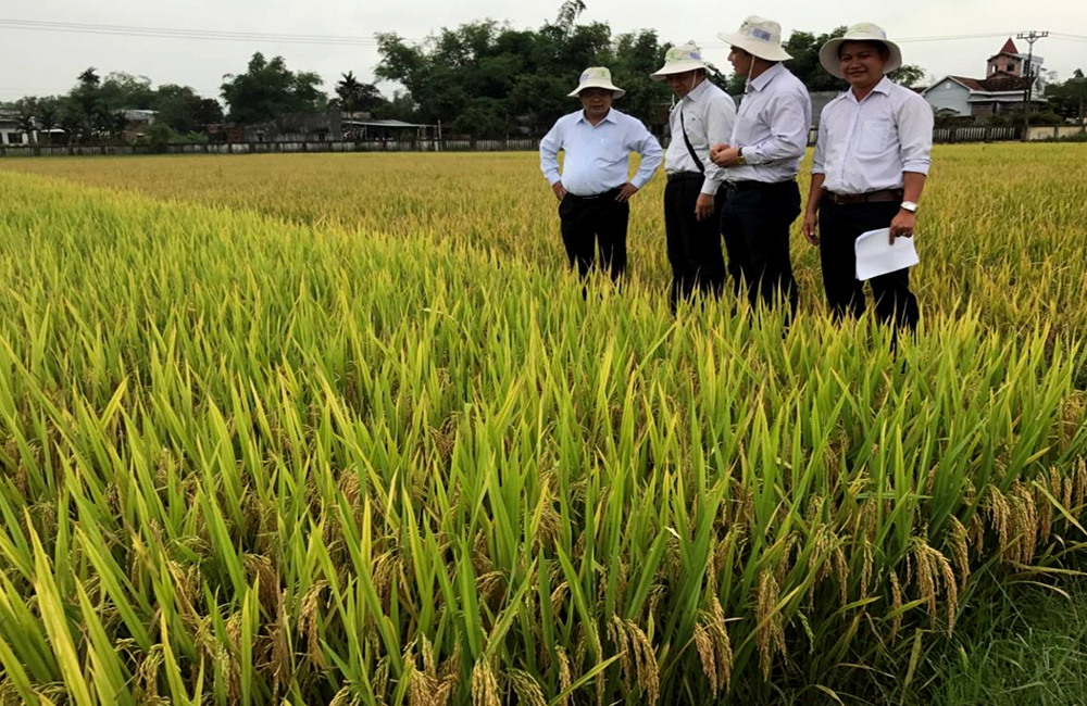 CÔNG TY CỔ PHẦN MỘC ĐIỀN