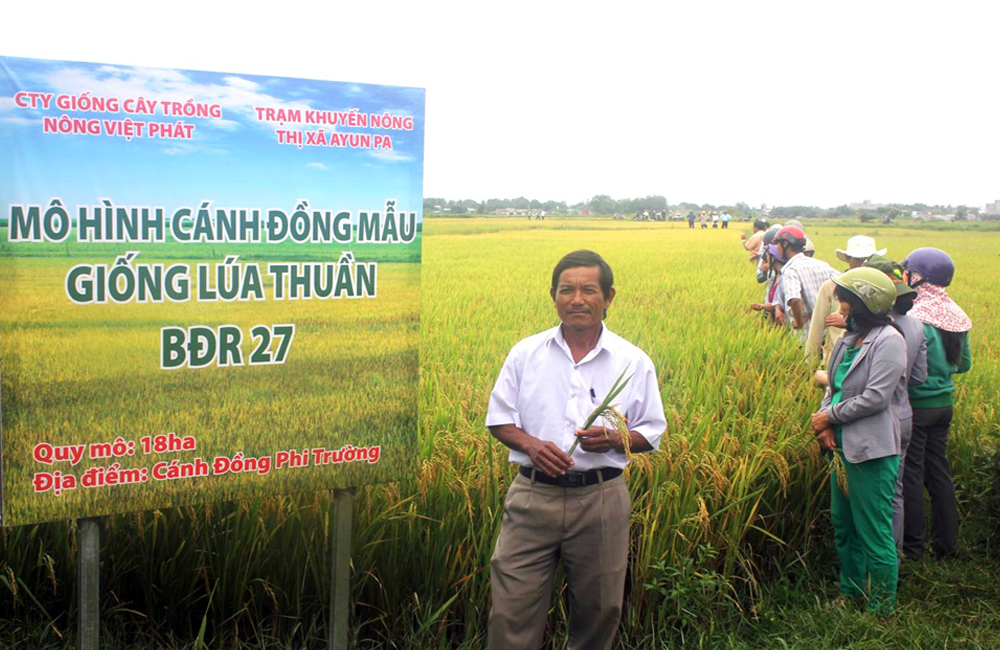 CÔNG TY CỔ PHẦN MỘC ĐIỀN