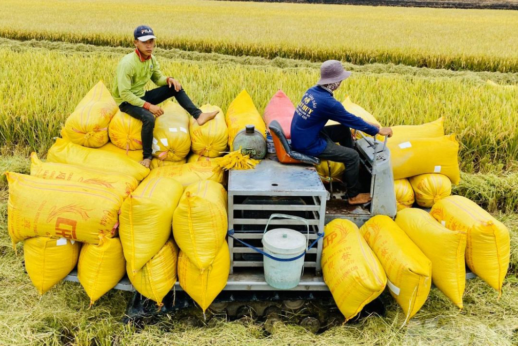 CÔNG TY CỔ PHẦN MỘC ĐIỀN