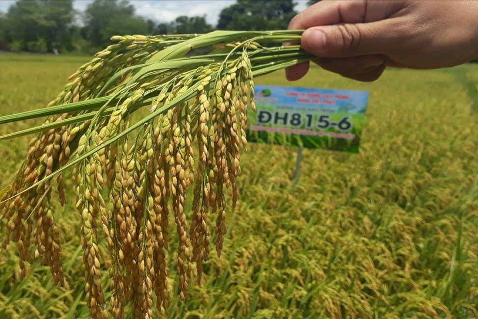 CÔNG TY CỔ PHẦN MỘC ĐIỀN